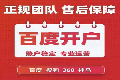 SEM推广技巧：成功案例深度剖析